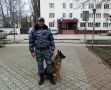 Полицейская собака в Сакском районе разыскала угонщика-рецидивиста