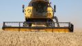Крымские аграрии получат почти 3 млрд рублей господдержки в этом году