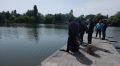 ЧП в Симферополе: в пруду утонул подросток