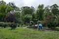 В Симферополе очищают пруды в Екатерининском саду
