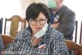Профильный Комитет подготовил предложения по дополнительным мерам господдержки бизнеса, - Ольга Виноградова