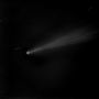 Крымский астроном оценил шансы увидеть комету Лебедь