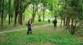 Коммунальщики выкосили траву в самом большом парке Симферополя