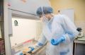 В Крыму выявили три новых случая коронавирусной инфекции