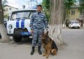 В Крыму полицейский пёс Ильхан вычислил грабителя