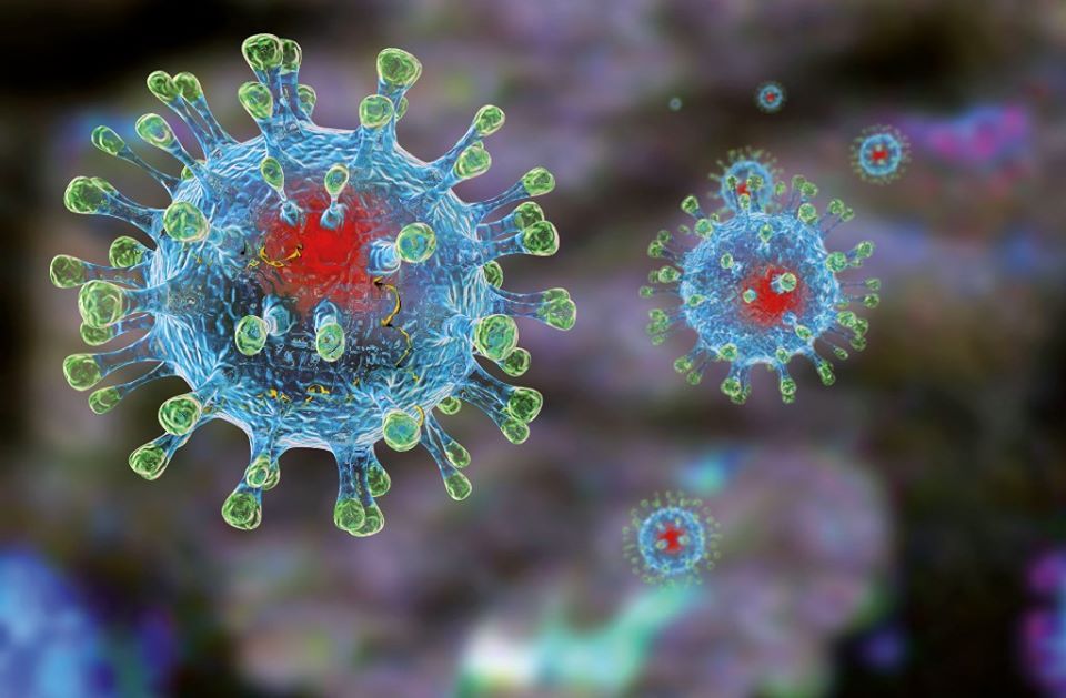 Учёные подтвердили снижение активности коронавируса во время жары