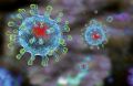 Учёные подтвердили снижение активности коронавируса во время жары