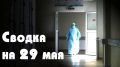 232 смерти от коронавируса за сутки – в России новый «антирекорд»