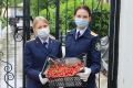 Офицеры Следкома передали фрукты и подарки нуждающимся детям