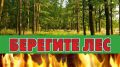 МЧС Республики Крым напоминает: введены ограничения на посещение лесов сроком на 21 день