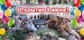 В День защиты детей в Крыму откроют парки и зооуголки