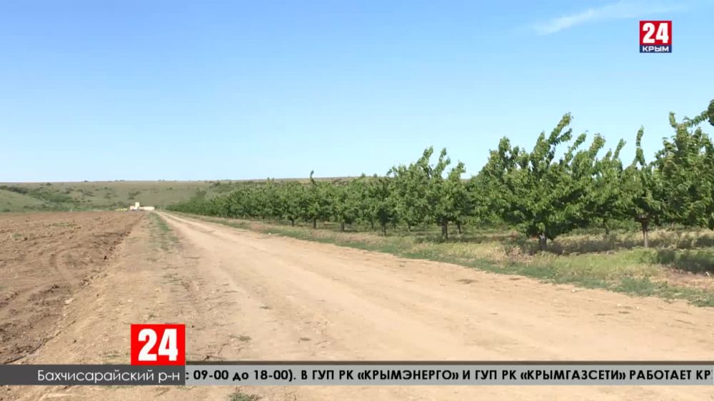 Крымские аграрии получили около миллиарда на развитие своих предприятий