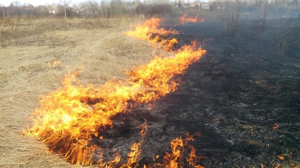 МЧС Республики Крым бьет тревогу: в течение выходных дней спасатели потушили 29 пожаров, связанных с возгоранием сухой растительности
