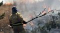 В Севастополе продлили особый противопожарный режим