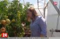 Крымские фермеры ждут увеличения спроса на свою продукцию