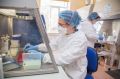 За сутки коронавирус обнаружили в Ялте, Феодосии, Евпатории, Керчи и Белогорском районе