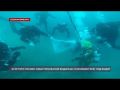 Севастопольские водолазы МЧС установили флаг на глубине 30 метров у мыса Сарыч