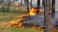 МЧС Республики Крым бьет тревогу: на полуострове продолжают фиксировать природные пожары!