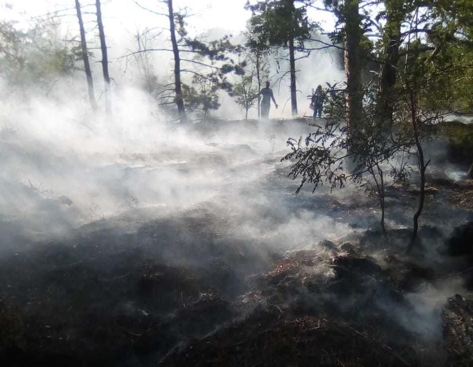 В Ленинском районе из-за молнии начался лесной пожар