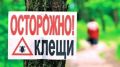 МЧС Республики Крым предупреждает: на полуострове начался сезон активности клещей