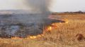 В Крыму горело поле пшеницы
