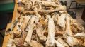 Ученые обнаружили в пещере Таврида кости древнего двурогого носорога