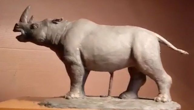 В пещере "Таврида" нашли кости первого в России древнего носорога