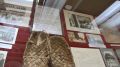В Ливадийском дворце открыта выставка «От крестьянского курорта к всесоюзной здравнице»