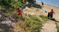 Коммунальщики очищают пляжи Керчи от мусора