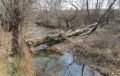 В Крыму экологи очистят реки и водоемы