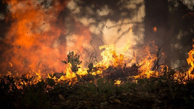 Спасатели предупредили о чрезвычайной пожароопасности в Крыму