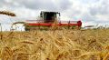 Аграрии Крыма собрали 366 тысяч тонн зерновых после уборки почти трети посевных площадей