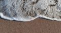 Власти выявили нарушения на ряде пляжей Феодосии