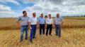 Крымские аграрии уже намолотили 366 тысяч тонн зерновых