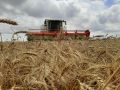 В Крыму аграрии уже собрали 500 тысяч тонн зерна