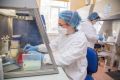 В Крыму 24 новых заражённых коронавирусом