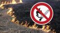 Внимание! В Севастополе — «оранжевый» класс пожароопасности