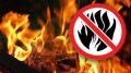 В Крыму ужесточили штрафы за нарушение пожарной безопасности в лесах