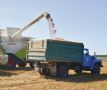 Крымские аграрии соберут порядка миллиона тонн зерна.