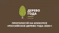 Минприроды Крыма приглашает принять участие во Всероссийском конкурсе «Российское дерево года»
