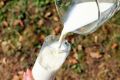 В Крыму увеличили объёмы поддержки молочной отрасли