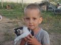 Поиски пропавшего трёхлетнего малыша в Строгановке: Что известно на данный момент