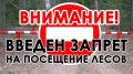 Сергей Шахов: В Крыму действует ограничение на пребывание граждан в лесах и въезда в них транспортных средств
