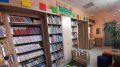 Открытие модельной библиотеки на базе Краснолесской сельской библиотеки-филиал № 31