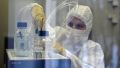 Голикова назвала сроки начала производства вакцин от коронавируса