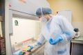 В Крыму ещё 28 человек заболели коронавирусом