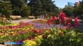 В севастопольских скверах поливают цветы вручную
