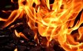 23 пожара ликвидировали в Крыму за сутки