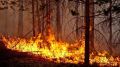 Сергей Шахов: В Крыму продолжают фиксировать природные пожары!