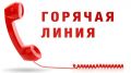 Правительство Крыма напоминает: работает «горячая линия» по вопросам ценообразования  